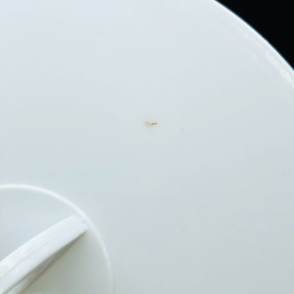 Vintage 80s Toucan Birds and Tropical Florals Ice Bucket with Lid and Handle - Picture 8 of 13